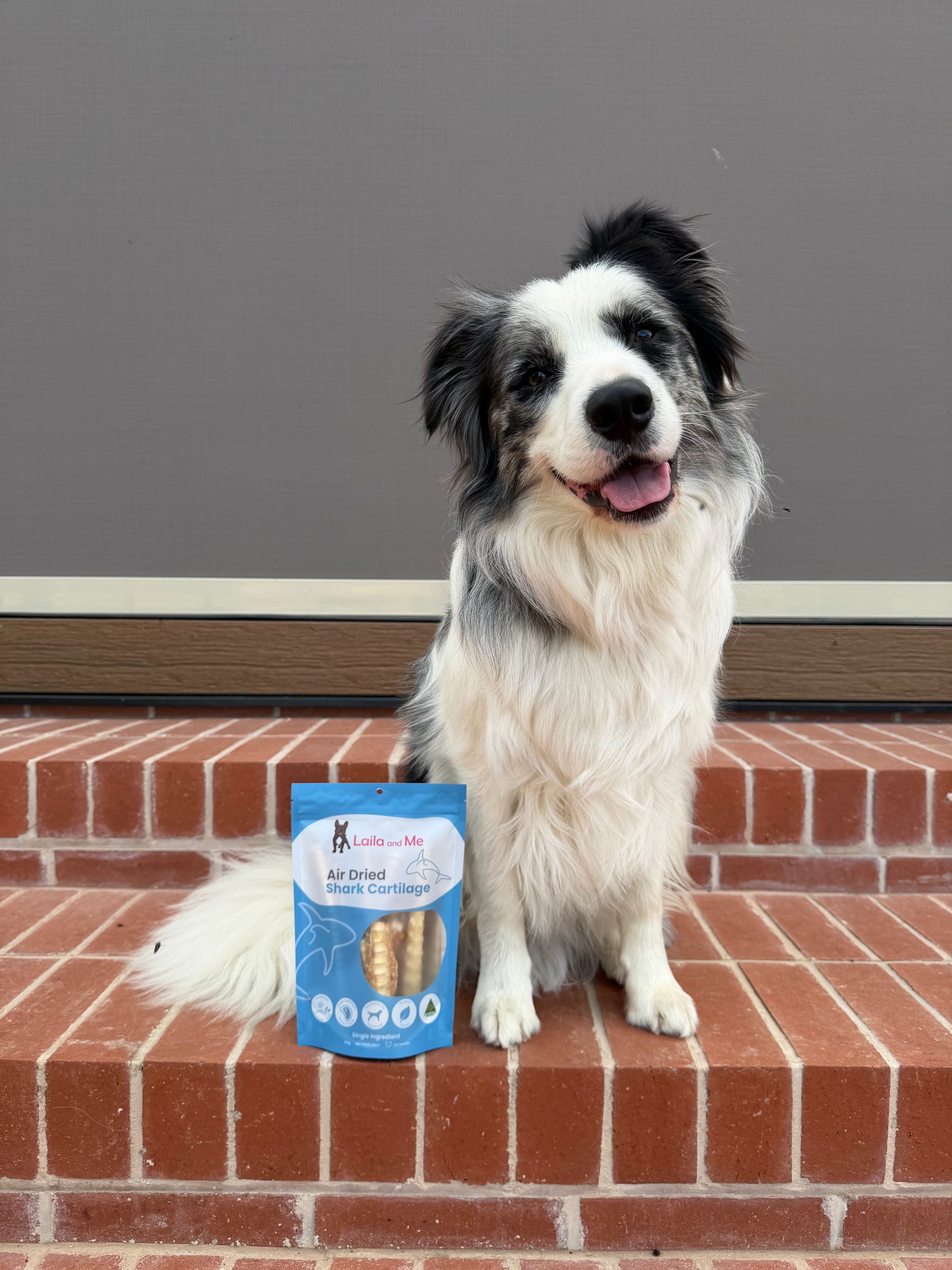 Australian Gummy Shark Cartilage