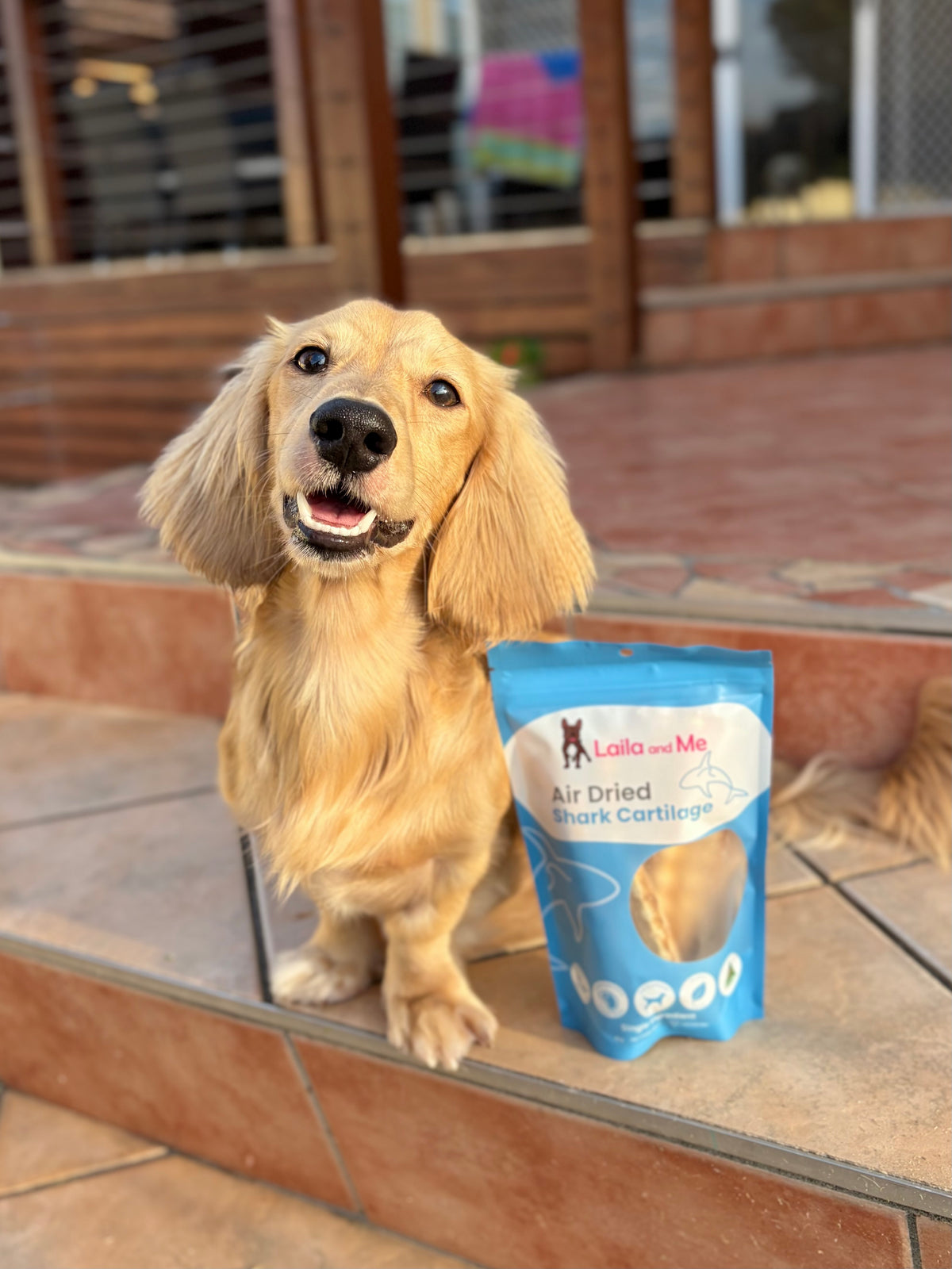 Australian Gummy Shark Cartilage