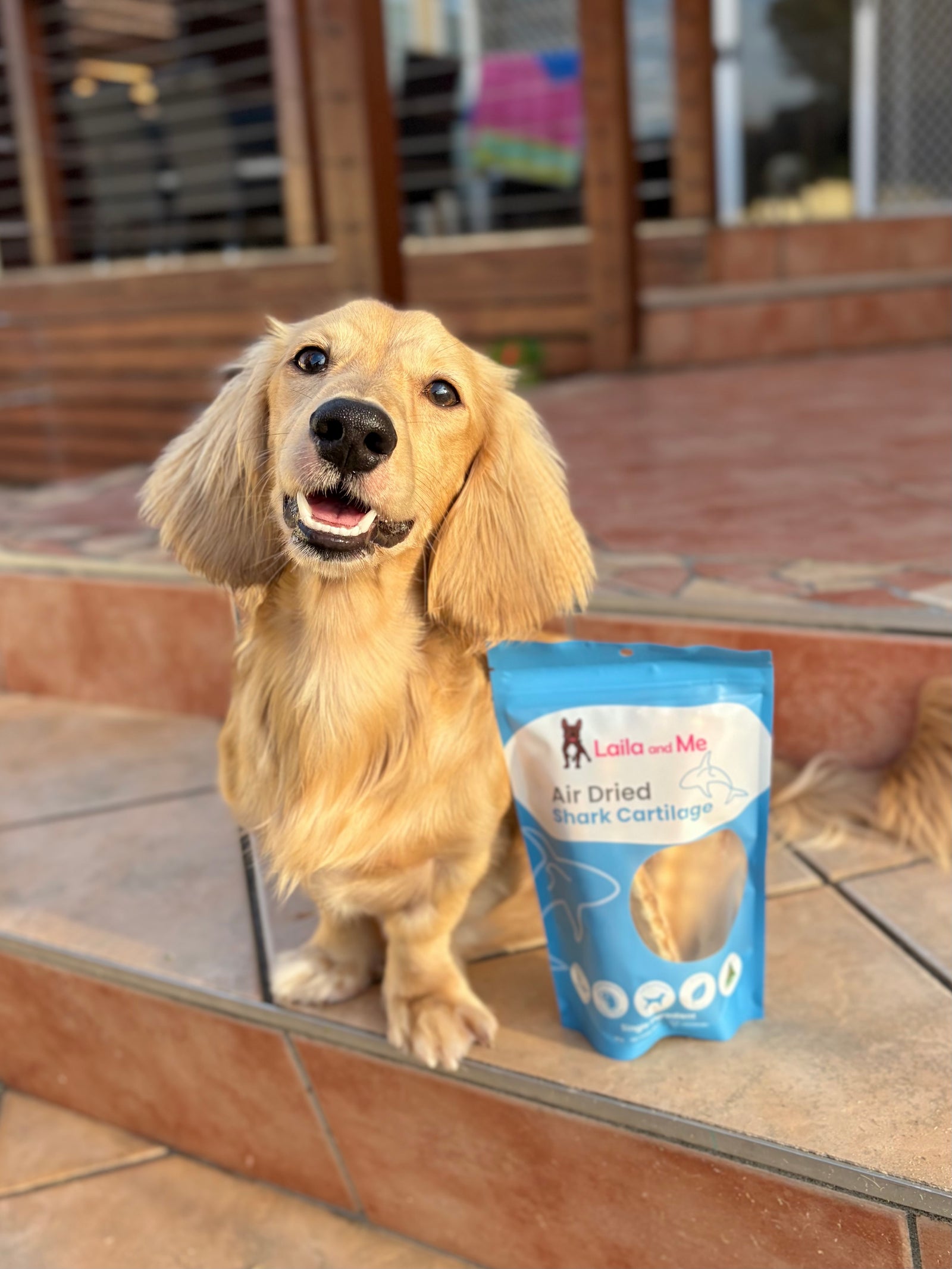 Australian Gummy Shark Cartilage