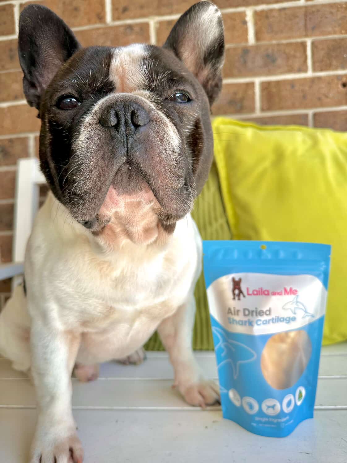 Australian Gummy Shark Cartilage