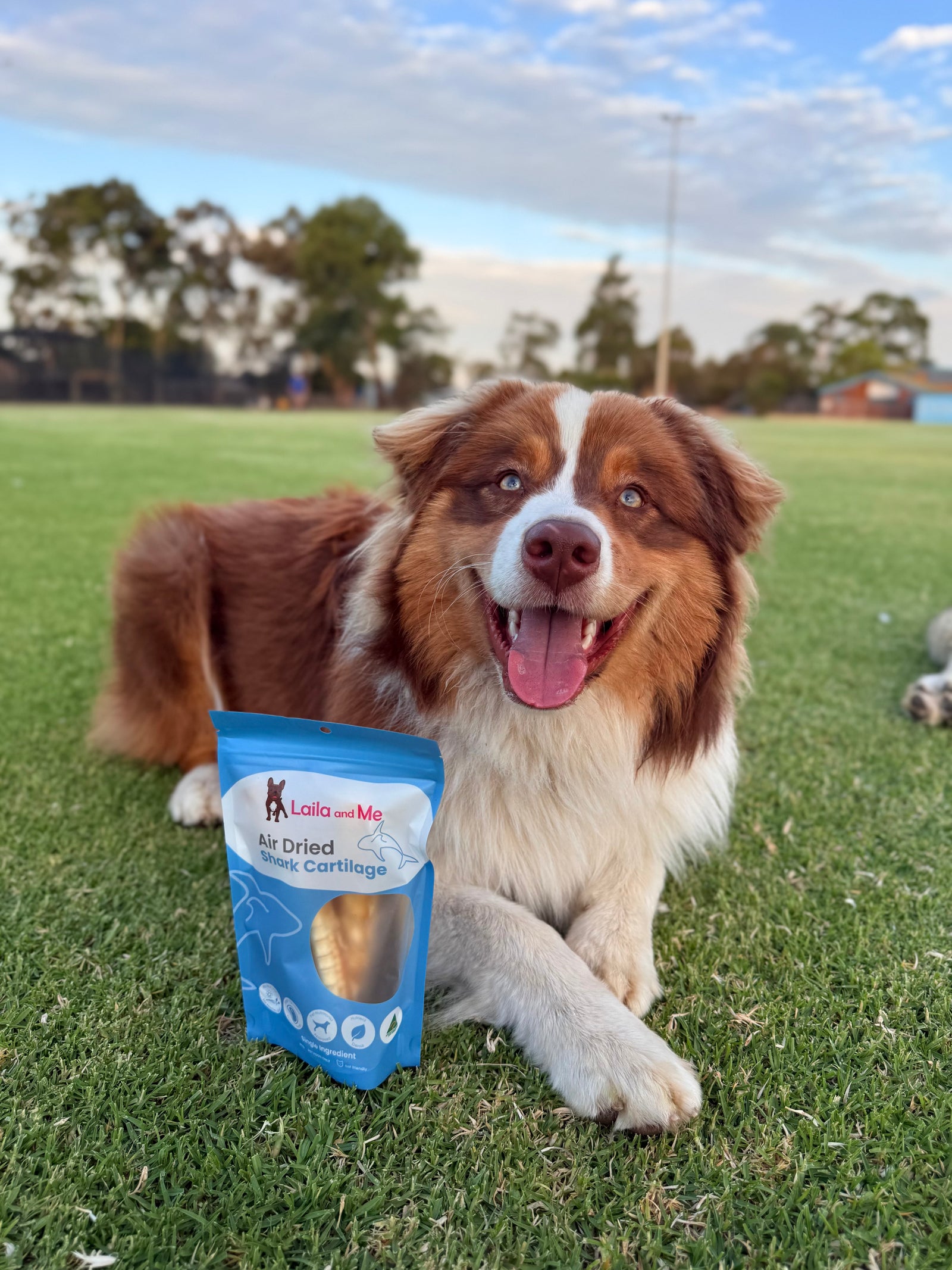 Australian Gummy Shark Cartilage