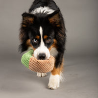 Snail Enrichment Toy