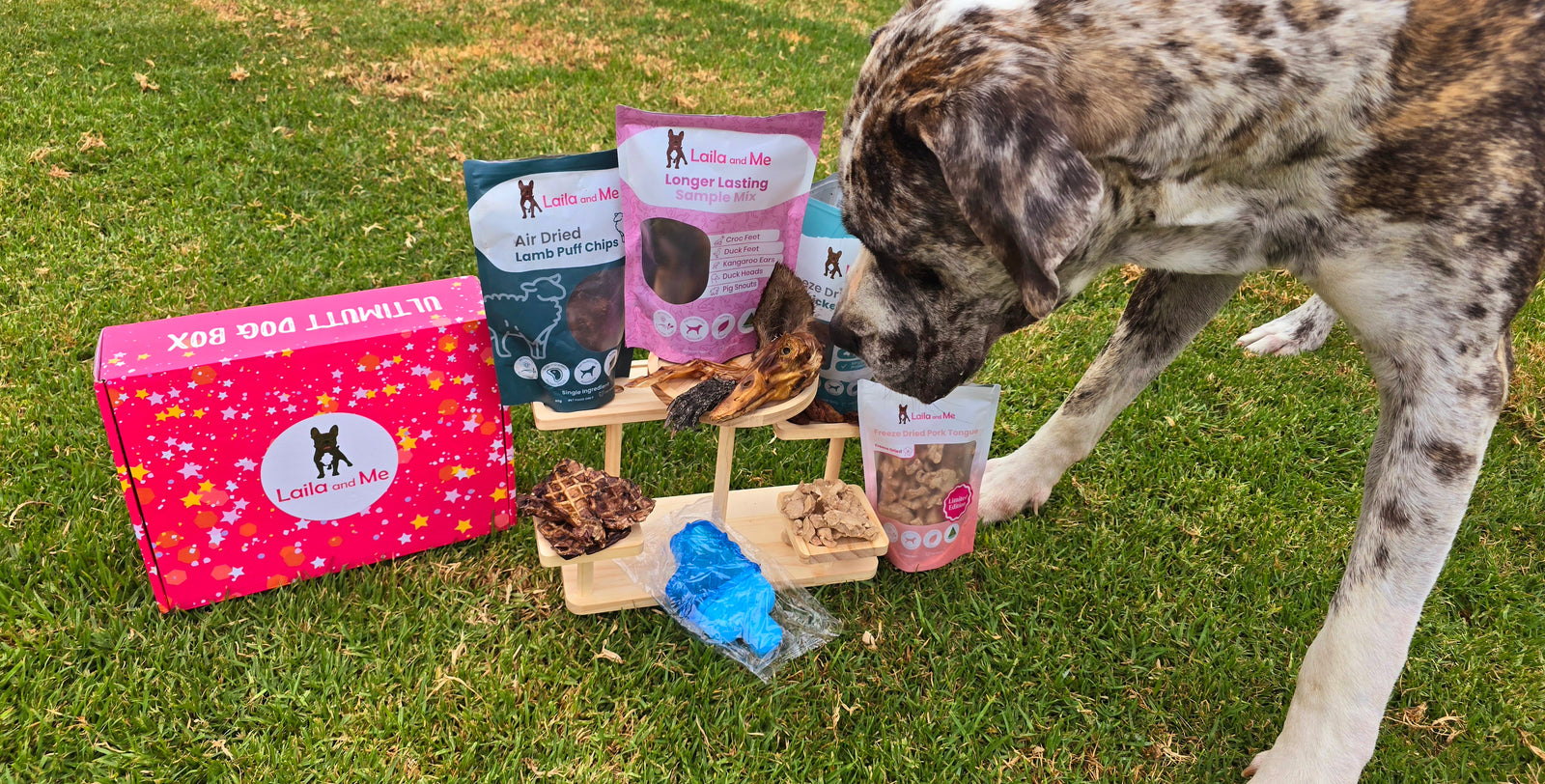 Ultimutt Dog Box | Monthly Subscription Box