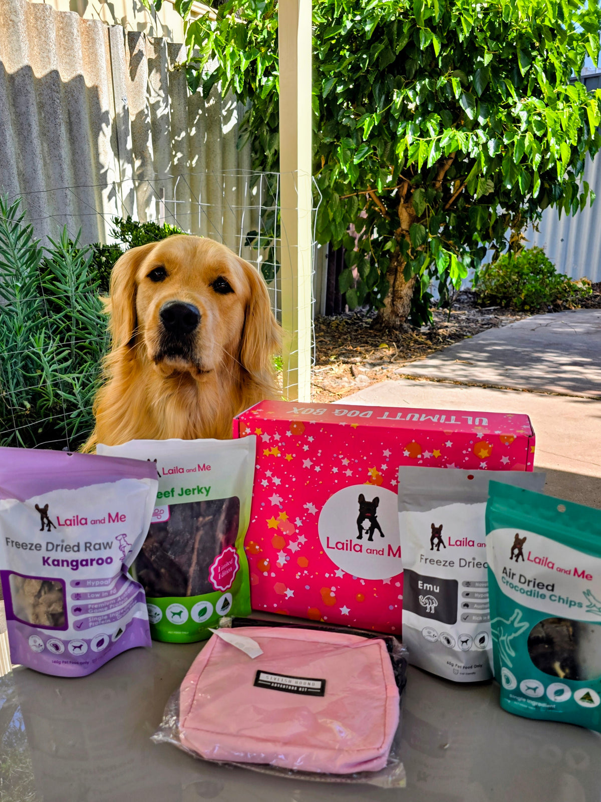 Ultimutt Dog Box | Monthly Subscription Box