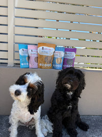 Ultimutt Dog Box | Monthly Subscription Box