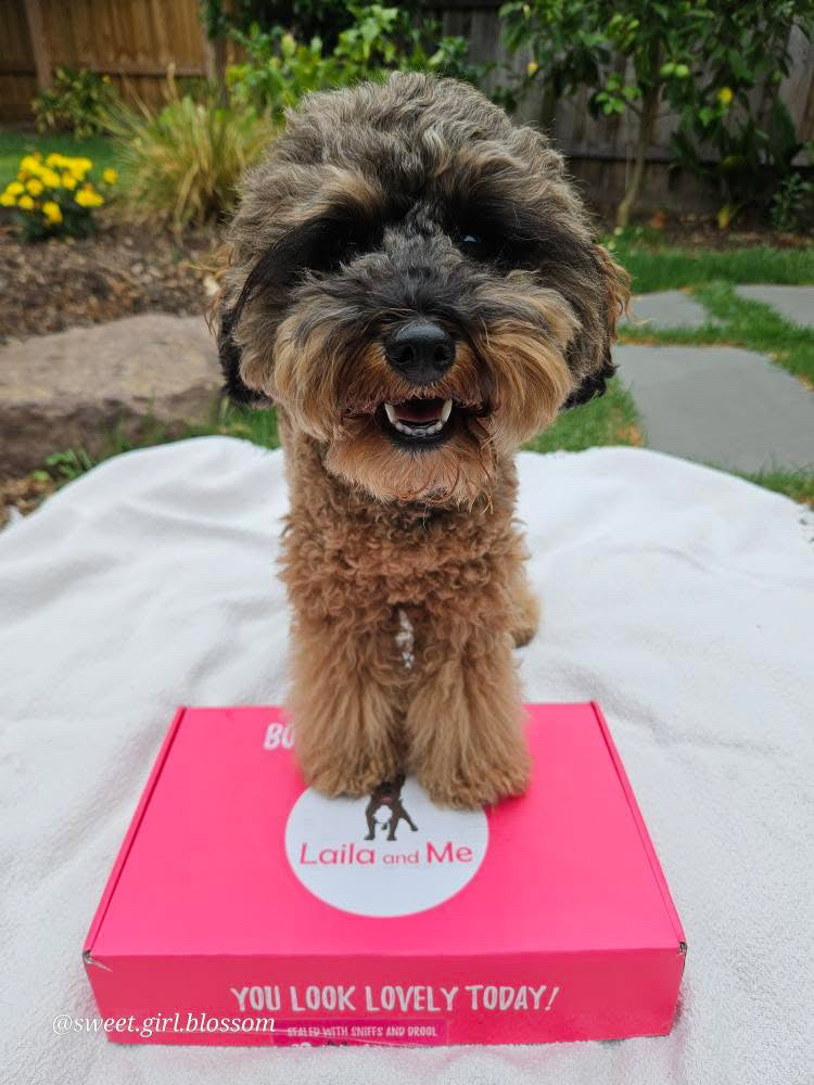 Ultimutt Dog Box | Monthly Subscription Box