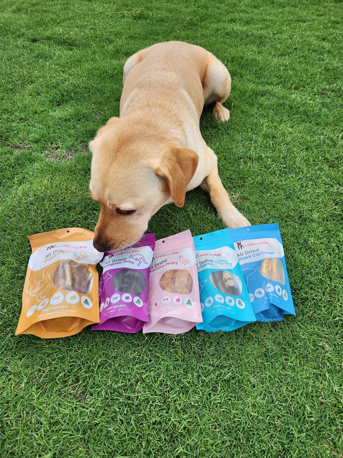 Ultimutt Dog Box | Monthly Subscription Box