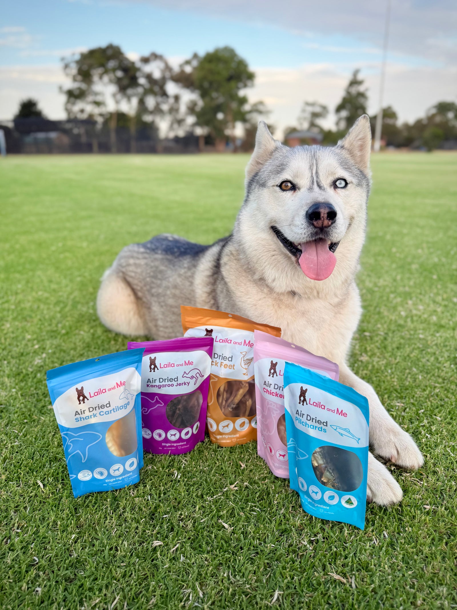 Ultimutt Dog Box | Monthly Subscription Box