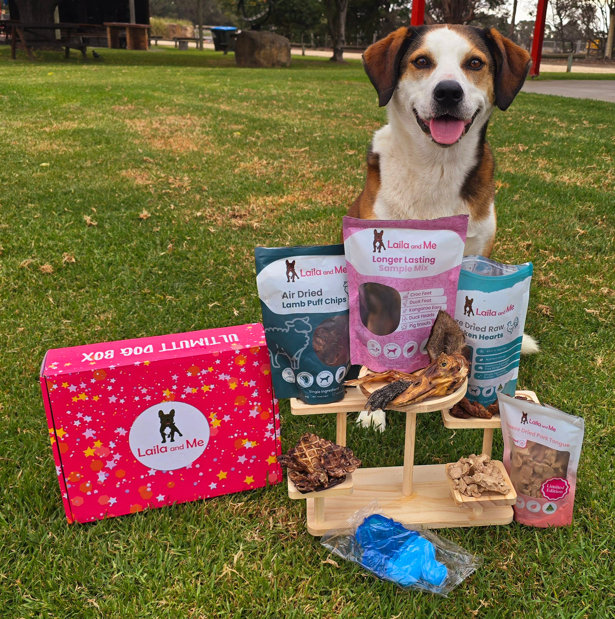 Ultimutt Dog Box | Monthly Subscription Box