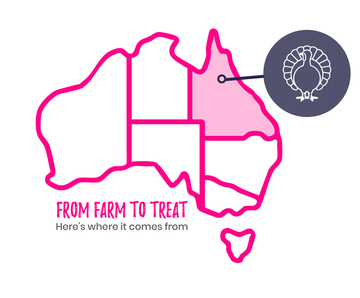 Freeze Dried Raw Turkey Treats