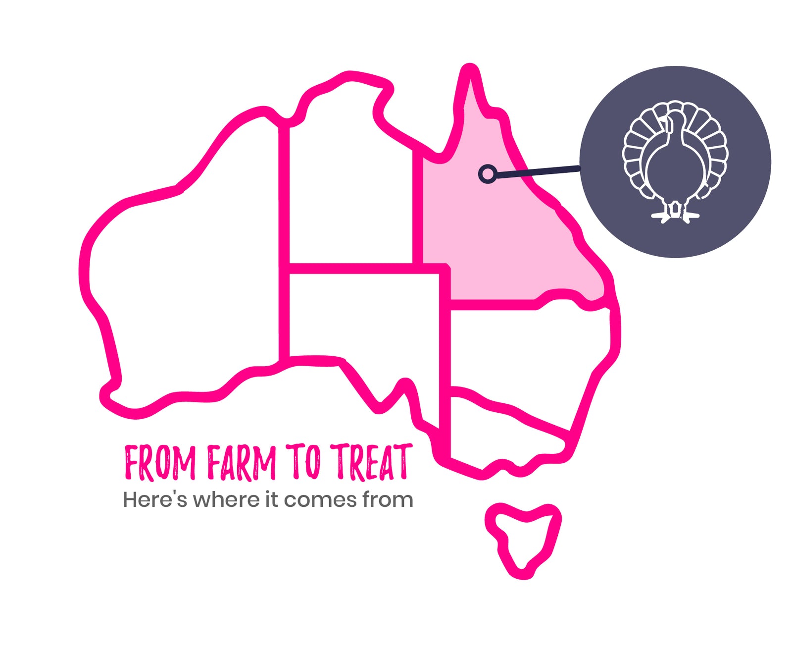 Freeze Dried Raw Turkey Treats