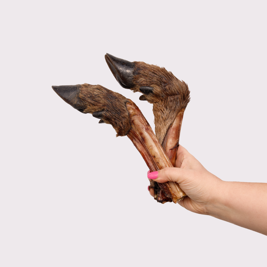 Longer-Lasting Chew Pack