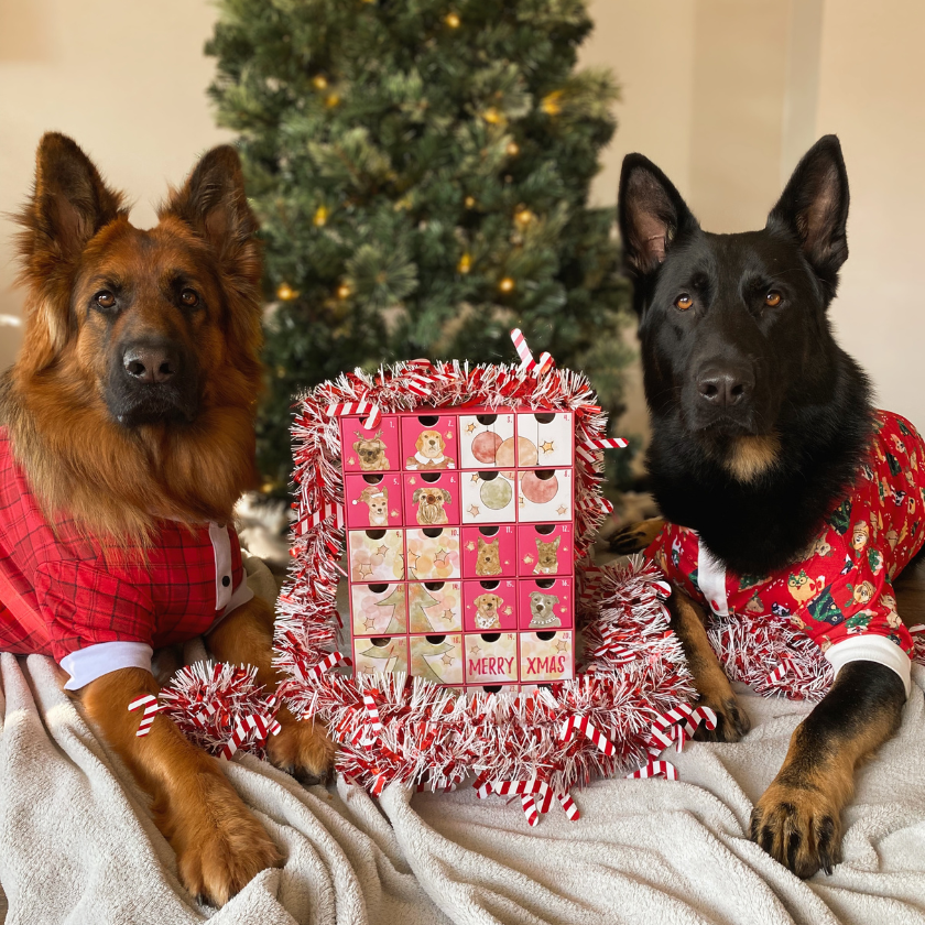 Laila and Me Dog Advent Calendar - not for sale 2023