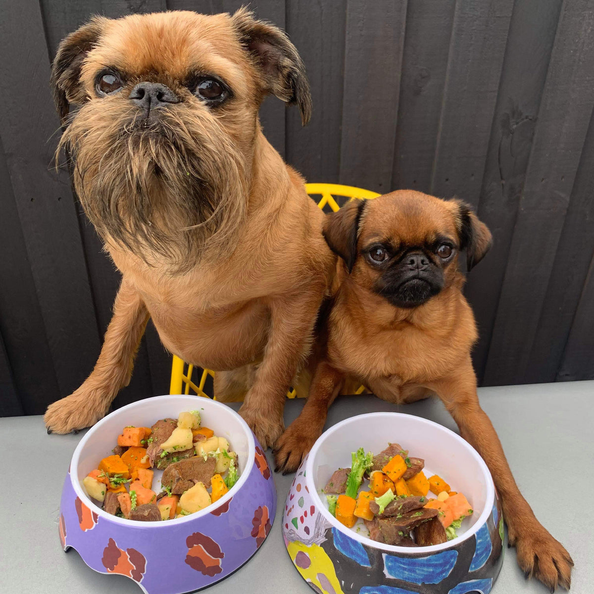 Christmas dog lunch with pumpkin - laila and me