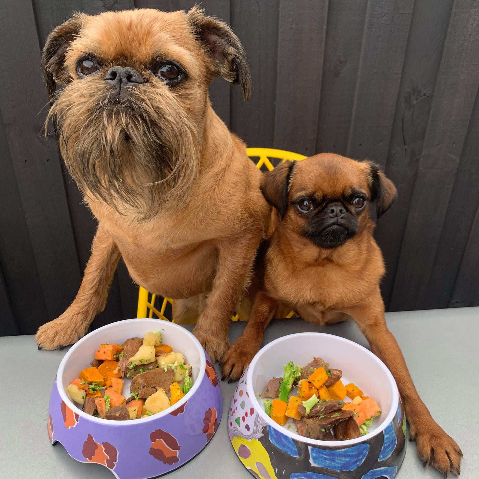 Christmas dog lunch with pumpkin - laila and me