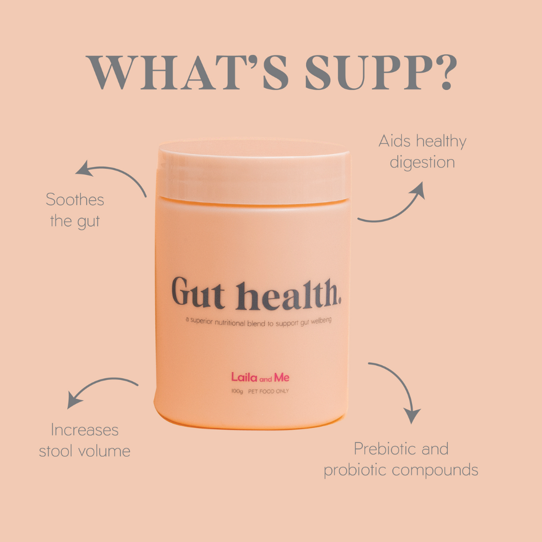 Gut Health Supplement for Dogs, Herbal healthy safe supplement for dogs upset stomach , gut health supplement for dogs by Laila and me 