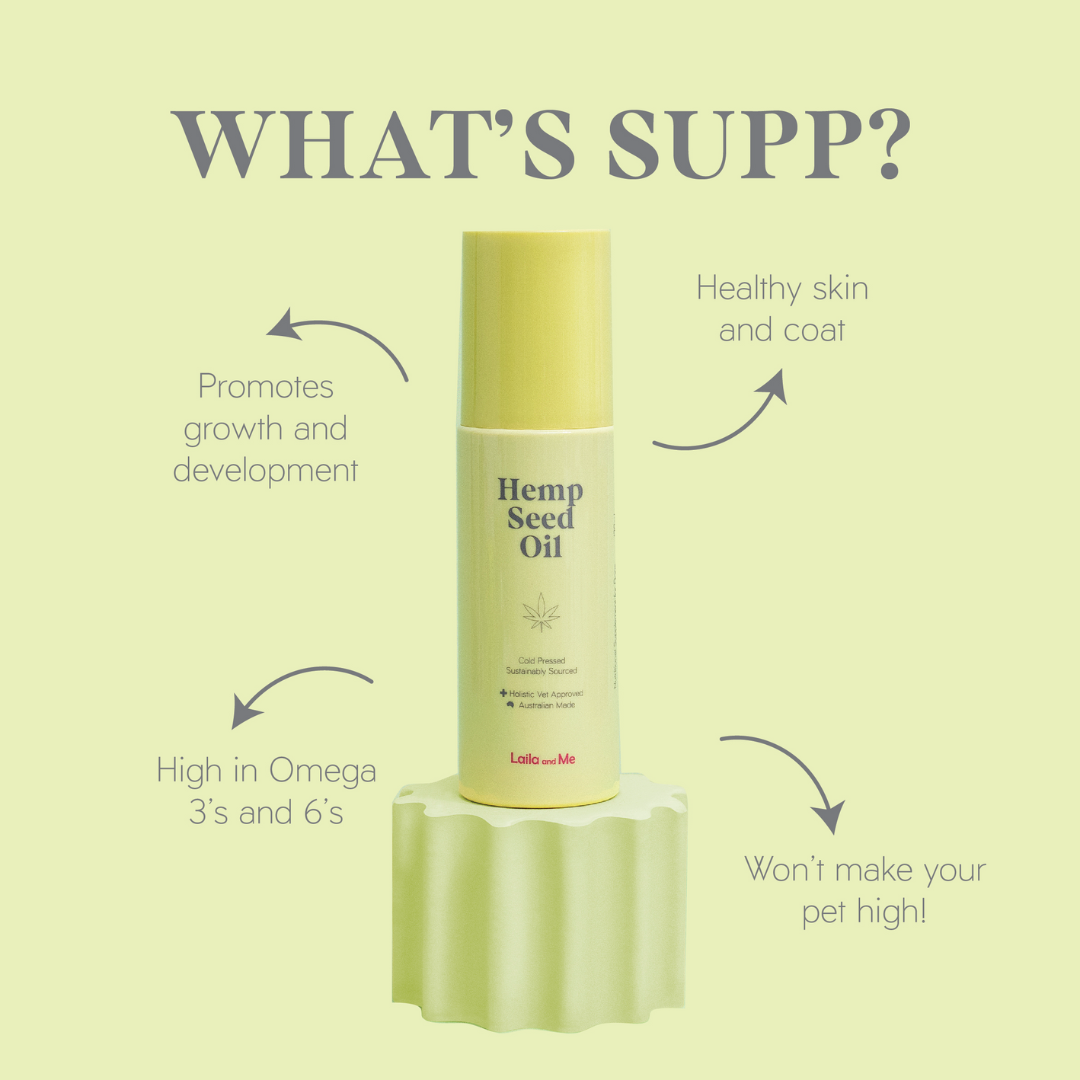 Hemp Seed Oil for Pets , Natural Anxiety relief affordable hemp seed oil supplement for animals by Laila and Me