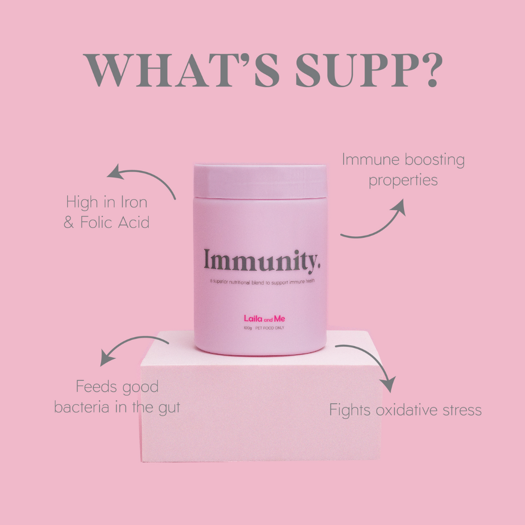 Immunity Herbal Dog Supplement - Natural affordable way to boost your dogs immunity by Laila and Me 