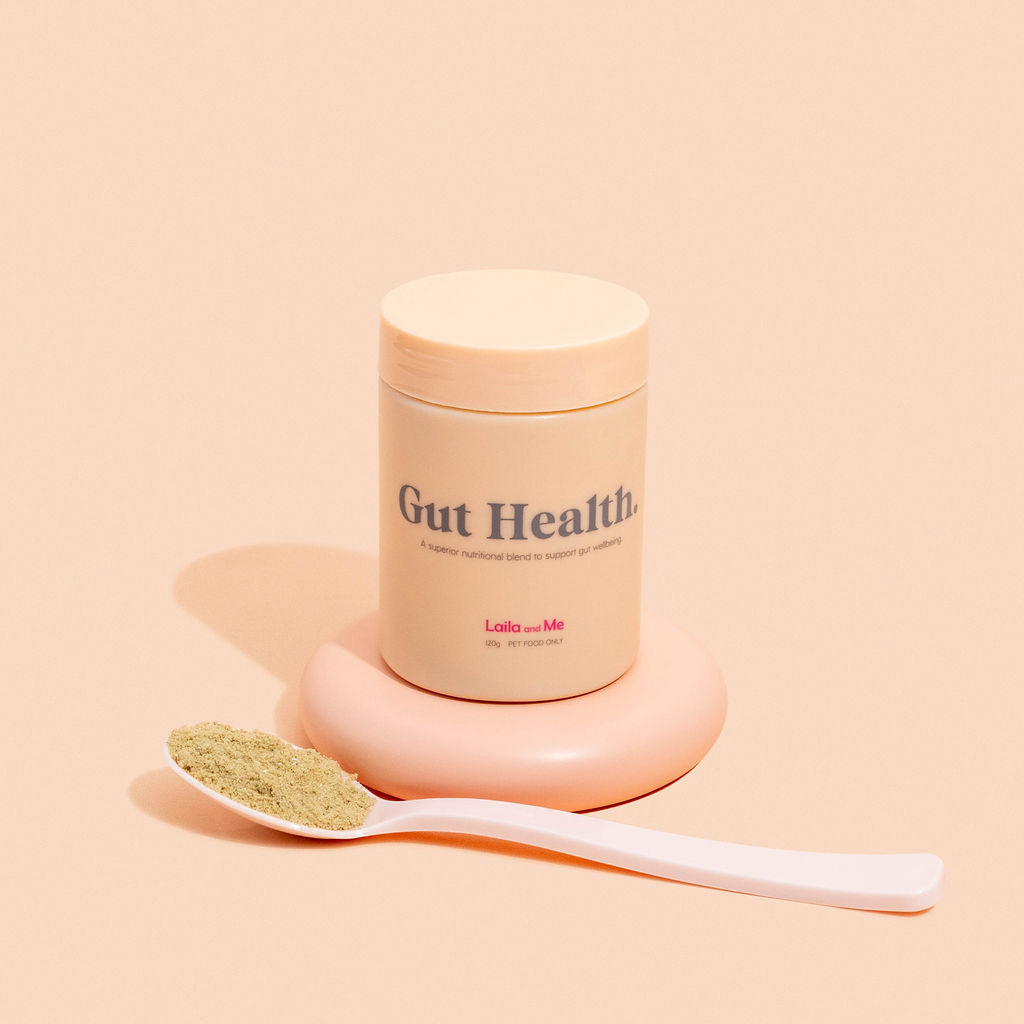 Gut Health Supplement for Dogs, Herbal healthy safe supplement for dogs upset stomach , gut health supplement for dogs by Laila and me 