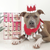 Laila and Me Dog Advent Calendar - not for sale 2023