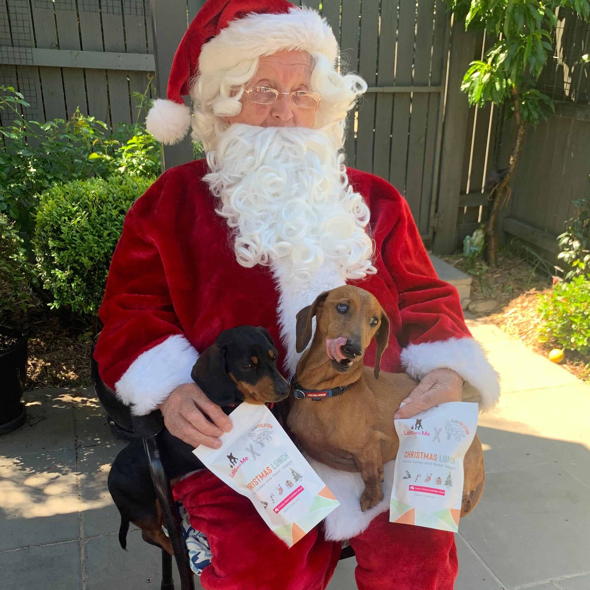 christmas day lunch for dogs - laila and me