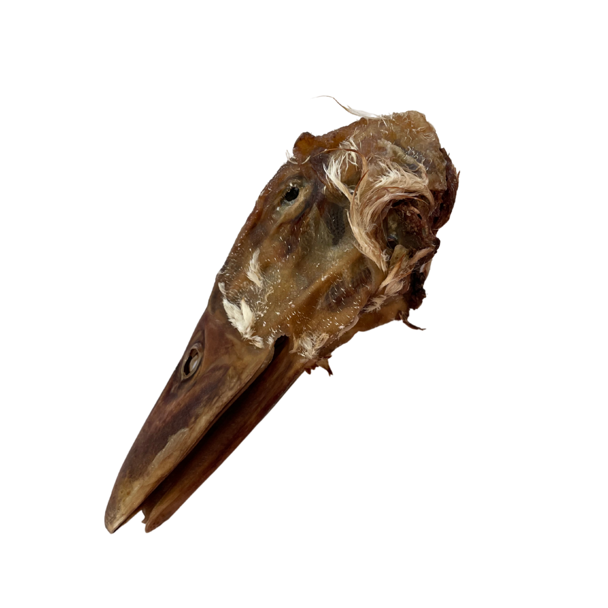 Duck head dog sales treats